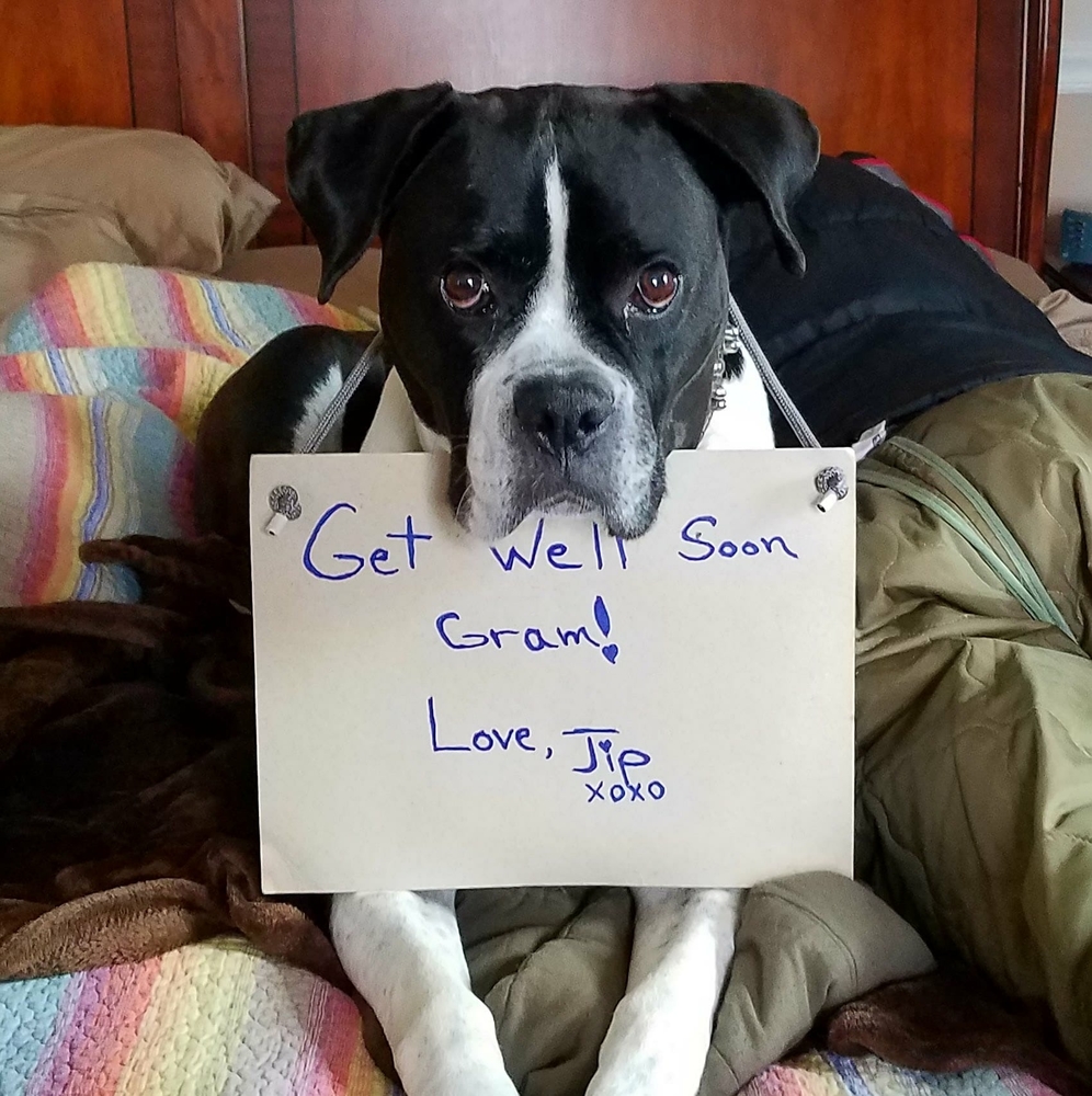 Meet your Posher, Annemarie